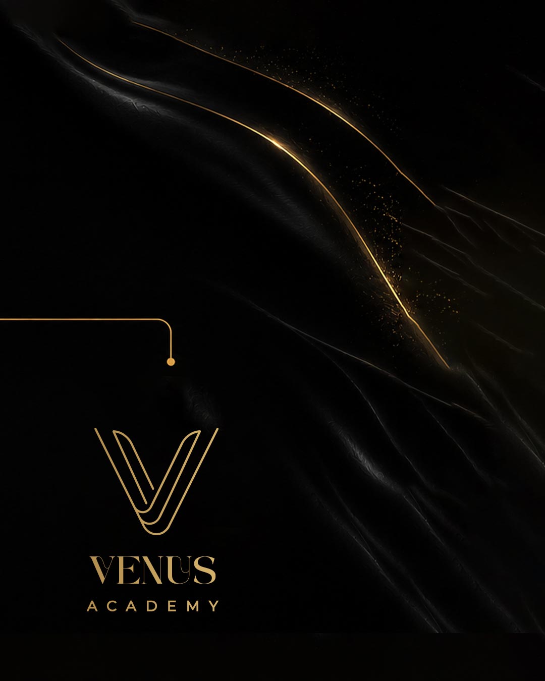 Venus Academy identity